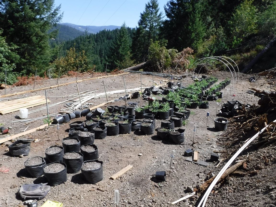 Search Warrant - Case 201603973